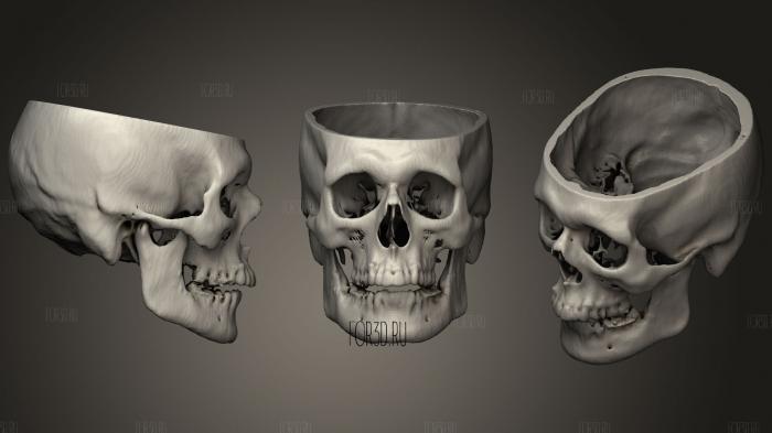 Skull Male 43yo stl model for CNC